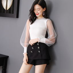 洋湖軒榭2019精品毛衫時(shí)尚新款女裝圓領(lǐng)透視燈籠袖修身顯瘦針織打底衫圖片大全 郵樂(lè)官方網(wǎng)站